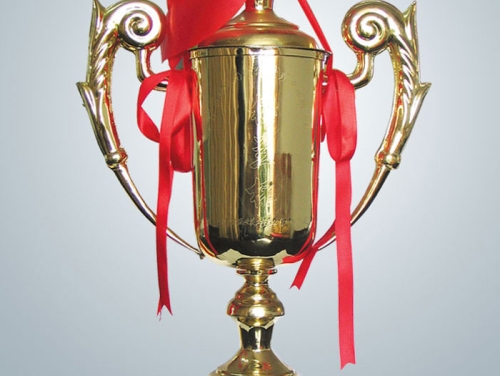 1999年獲泰州建筑業(yè)名優(yōu)工程獎(jiǎng)